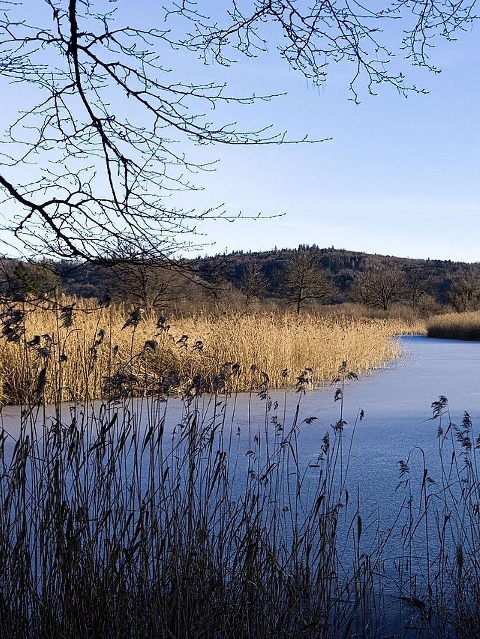 Ritratto della guida dopo una lunga escursione sul lago