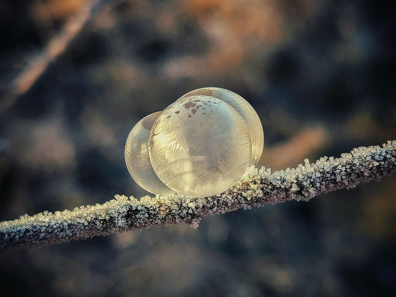 Lo stesso sentiero stretto attraverso quattro stagioni invernali